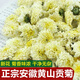 特級 黃山貢菊清熱明目下火白菊花qing肝去火杭白菊花茶組合枸 黃山貢菊[250克]