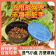 面包鮮活黃粉蟲烏龜八哥蘆丁雞蜥蜴畫眉蝎子倉(cāng)鼠盒裝守宮飼料 2.5cm活體面包蟲100條送麥麩鑷子