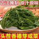頭茬嫩香椿芽25年新鮮腌制椿芽山東香椿芽嫩芽速食菜 【新鮮頭茬】精選嫩香椿 新品沖量【到手500g/2大袋】