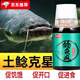 OEMG【爆護專(zhuān)攻】鯰魚(yú)瘋胡子魚(yú)大口鯰埃及土鯰克星塘鲺誘食劑小藥釣餌 198.8濃度【送開(kāi)口劑50毫升