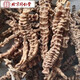 北京同仁堂云南特級(jí)野生蟲草參頂天柱西藏野生特級(jí)地參竹節(jié)參干貨煲湯泡酒 正品野生頂天柱1000克新貨上市