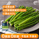 京鮮生浦之靈 歐式蘆筍200g/袋 牛排配餐 火鍋食材 冷凍蔬菜 健康輕食
