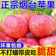 山東煙臺紅富士棲霞蘋果脆甜冰糖心洛川蘋果新鮮粉甜嘎啦蘋果包郵 煙臺紅富士凈重4.5斤大果75mm+