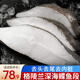 漁游記鰈魚格陵蘭比目魚深海鰈魚身去頭去尾超大碟魚比目魚鴉片魚蝶魚 深海鰈魚段 2000g