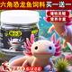 六角恐龍魚飼料蠑螈飼料專用下沉底棲魚食清道夫七星魚通吃魚糧 135ML買一送一