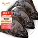 賣魚七郎格陵蘭鰈魚頭400-500g/只*3 深海鴉片魚頭比目魚頭海鮮水產魚類