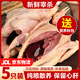 百味殿乳鴿新鮮宰殺正宗三年老鴿子保留心肝冷凍農家散養滋補土鴿子湯 老鴿子凈400g*5只（送料包）