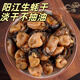 彩雙海金蠔干生蠔干煲湯淡曬海蠣子蠔鼓蠔士牡蠣干海產(chǎn)干貨陽江特產(chǎn) 足干生蠔干5袋【100g/袋約55只】