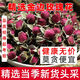 爾婭貝金邊玫瑰特級(jí)云南金邊玫瑰干花玫瑰花可食用女生補(bǔ)氣血養(yǎng)顏養(yǎng)生茶 DL嚴(yán)選 30克【體驗(yàn)裝】拍罐裝很劃算