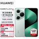 HUAWEI Pura 80 Pro+ 手機(jī)華為 贈(zèng)一年碎屏險(xiǎn) 一英寸主攝 個(gè)性色卡 AI輔助構(gòu)圖 華為鴻蒙智能手機(jī)p80pro+ 釉青 16GB+1TB 全網(wǎng)通【贈(zèng)一年碎屏險(xiǎn)】