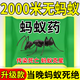 沃邦兄弟【1800米無螞蟻】野外螞蟻藥一窩端菜地強效白蚊克星家用肥料 小試牛刀：測試款（10包螞蟻藥）