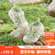 巴拉巴拉童鞋寶寶學步鞋兒童涼鞋嬰兒2025夏季網(wǎng)布鞋子男女童209225144201