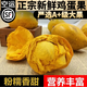 三萌果蔬新鮮雞蛋果【順豐】海南新鮮蛋黃果雞蛋果獅頭果應(yīng)季水果整箱 5斤手挑甄選大果裝 凈重4.5