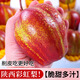 陜西彩虹梨【順豐可選】當(dāng)季時令鮮果香脆甜多汁薄皮紅早酥梨現(xiàn)摘 4.5斤中果精品裝【18枚左右】 順豐快遞