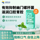 華熙當康225億益生菌香草薄荷口香爆珠清新口氣口臭異味滋潤口腔胃腔1盒