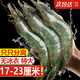 蝦有蝦途青島大蝦無冰新鮮海蝦白蝦鮮活冷凍大蝦批發(fā)3.6斤凈重 青島大蝦 3.6斤(凈重)  只只分離 18-20cm【超大蝦皇】無冰