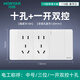 鴻雁118型開(kāi)關(guān)插座面板4位多孔家用暗裝墻壁10孔12孔15孔 Q118白色 十孔一開(kāi)雙控 1只裝