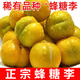 松筱蜂糖李子 脫骨李子脆甜【JD順豐-送貨上門】新鮮水果禮盒 5斤特級大果 單果40-45mm