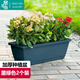 墨斗魚(yú)霍倫盆種菜花盆墨綠色*2家用育苗盆長(cháng)方形種植多肉箱陽(yáng)臺種菜箱