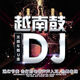 高音質(zhì)DJ越南鼓炸街車載U盤音樂潮流電音串燒搖滾震撼重低音優(yōu)盤 高音質(zhì)越南鼓勁爆DJ200首