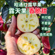 農味族新鮮昭通紅露蘋(píng)果官方旗艦店純甜高山糖心丑蘋(píng)果基地直發(fā)應季水果 新鮮紅露9斤大果（80-85mm）彩箱