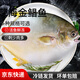 大號金鯧魚(yú)鮮活冷凍新鮮金昌魚(yú)速凍海魚(yú)海昌深海海鮮 二條【400-500g/條】