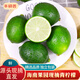 京地達海南新鮮青檸檬凈重5斤裝單果60g起檸檬泡水新鮮水果源頭直發(fā)包郵