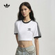 adidas三條紋修身純棉運(yùn)動(dòng)上衣圓領(lǐng)短袖T恤男女夏阿迪達(dá)斯三葉草 白   S