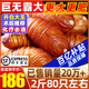 遼夢(mèng)【銷(xiāo)量20萬(wàn)+只】蠶蛹鮮活發(fā)貨東北特產(chǎn) 新鮮繭蛹特級大黃蠶蛹蟬蛹 巨無(wú)霸【大黃5CM】2斤（不超過(guò)80只）