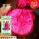 北蔬 水果蘿卜種子鳳梨蘿卜紅心陽臺秋冬蔬菜種籽 紫美人蘿卜種子20粒