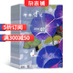 老年博覽上半月雜志 2025年9月起訂閱 1年共12期 文學文摘期刊 養(yǎng)生保健 雜志鋪每月快遞