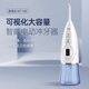 澳得邁（AODMA）智能沖牙器水牙線洗牙器 家用便攜手持式潔牙機(jī) WT-168 白色 2支噴頭