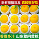 粵迎正宗山東蒙陰黃桃黃毛桃現(xiàn)摘桃子當季新鮮水果現(xiàn)摘現(xiàn)發(fā)水果生鮮 5斤精選裝【果農(nóng)手挑】凈4.5斤