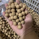 三花鯊魚背猴頭核桃手串老型雕刻龍炎料男士文盤玩佛珠手鏈多尺寸 原皮核桃20棵