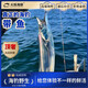 耀合莊帶魚(yú)新鮮冷凍海釣帶魚(yú)整條凈重東帶魚(yú)小眼冷凍 【海釣帶魚(yú)】3.5指寬300-500g/條-5斤裝