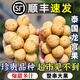 順豐大果6A泰國進(jìn)口龍宮果新鮮熱帶龍貢果應季高端品種整箱包郵 2斤【順豐丨京東快遞】 公主請下單丨6A