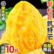 三萌果蔬攀枝花凱特芒果 四川當季新鮮水果青皮大芒果現(xiàn)摘整箱 5斤甄選果【單果400g+】凈重4.5斤