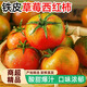 京地達草莓西紅柿山東草莓西紅柿 凈重3斤 單果60g+源頭直發(fā)包郵