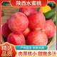 陜西水蜜桃 現(xiàn)摘新鮮當(dāng)季應(yīng)季時(shí)令水果整箱桃子脆甜軟硬兩吃 5斤精選裝【嚴(yán)選級(jí)】?jī)糁?.5斤 自有果園