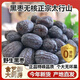 內廷上用胖東來(lái)優(yōu)選太行山野生無(wú)核黑棗特級正宗非新疆大烏棗休閑零食即食 黑棗無(wú)核500g【一罐】 官方旗艦店正品京自藥房東營(yíng)