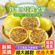 果領(lǐng)隊正宗廣西百香果欽蜜9號新鮮孕婦兒童水果當(dāng)季黃金百香果原漿純甜 3斤中果45-60g 24～28個 凈2.5斤