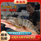 粵海灣南海巨型黑虎蝦超大特大號(hào) 老虎蝦大蝦生鮮海鮮禮盒年貨送禮蝦類 超大6頭 800g(凈重)  長(zhǎng)23-26cm 順豐空運(yùn)/深圳|青島|武漢發(fā)貨