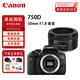 佳能（Canon）佳能750D  EOS 750D 入門(mén)級 單反相機 旅游拍照新手 佳能750D+50mm f1.8 STM 小痰盂 官方標配