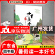 【京東配送】2025年廣東省暑假讀一本好書(shū)一二三四五六年級幼兒園小學(xué)中學(xué)暑假活動(dòng)閱讀書(shū)目 十里蒸香【四年級】