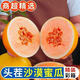 甘肅民勤蜜瓜頭茬蜜瓜黃河沙漠蜜瓜新鮮現(xiàn)摘水果甜瓜香瓜當(dāng)季蜜瓜 9-10斤帶箱【精選蜜瓜2-3枚】