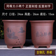 宜興紫砂蘭花盆家用客廳專用盆君子蘭花盆大花盆陶瓷紫砂花盆 本色高山流水兩中
