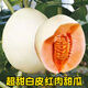 春枝韻春枝韻白皮紅肉瓜種大全早熟四季香甜瓜種子籽哈密瓜種孑糖18度 甜紅玉2號簡(jiǎn)裝20粒