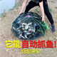 魚(yú)網(wǎng)捕魚(yú)籠漁網(wǎng)撈小魚(yú)黃鱔抓魚(yú)神器地網(wǎng)魚(yú)籠手拋網(wǎng)捕蝦籠泥鰍自動(dòng) 【6進(jìn)孔魚(yú)籠】加厚網(wǎng)布框架 【廠(chǎng)家活動(dòng)】現貨速發(fā)-優(yōu)惠15元