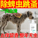 狗狗貓咪沐浴露清潔除臭洗澡驅(qū)蟲止癢除螨殺菌除臭護(hù)毛素持久留香 【低敏護(hù)毛】貓咪專用香波*1瓶