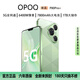OPOQ手機1TB超大內(nèi)存 全新一代學(xué)生電競老人AI超高性能 7800mAh快充長續(xù)航6400W高清拍照 十面抗摔防水 香頌綠 16GB+1TB（1024GB）